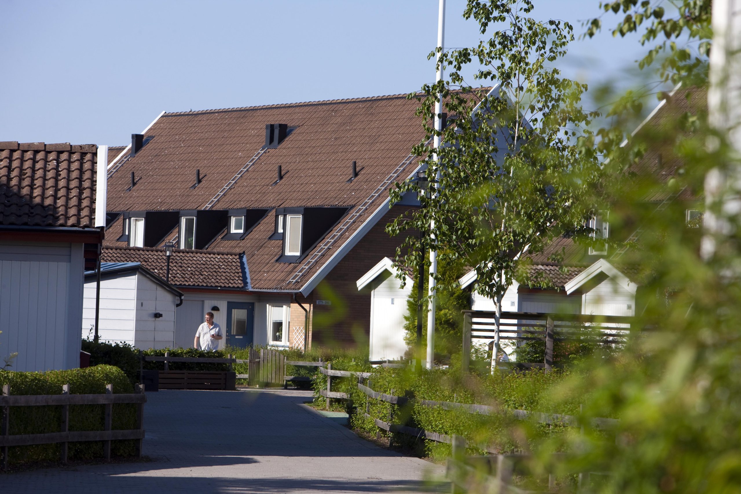 101 rapsbaggen flytt